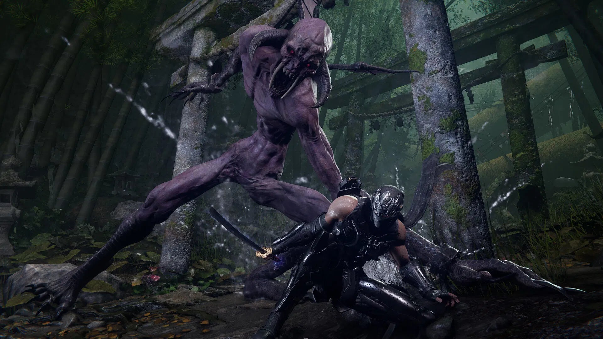 Ninja Gaiden 4 - PS5